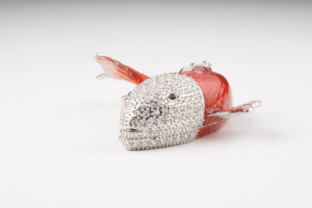 Red & Silver Fish